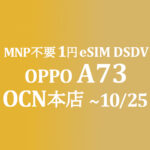 1円eSIM DSDV OPPO A73【OCNモバイルONE】積算紹介 ~8/20