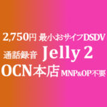 2,750円 Jelly 2 最小おサイフDSDV MNP&OP不要【OCNモバイルONE】積算紹介 本店 11月セール 11/12~12/9