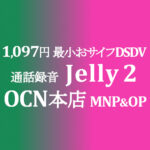 1,097円 Jelly 2 最小おサイフDSDV MNP&OP【OCNモバイルONE】積算紹介 12/9~24