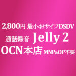 2,800円 Jelly 2 最小おサイフDSDV MNP&OP不要特価【OCNモバイルONE】本店 積算紹介 2/25~3/16