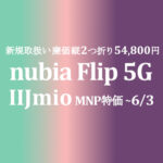 初取扱い nubia 廉価縦2つ折り 54,800円 Flip 5G【IIJmio】~6/3
